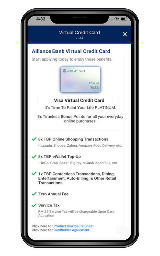 Visa Virtual Credit Card (Metafin) - Step 2