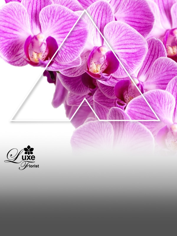 10% OFF* total orders at Luxe Florist